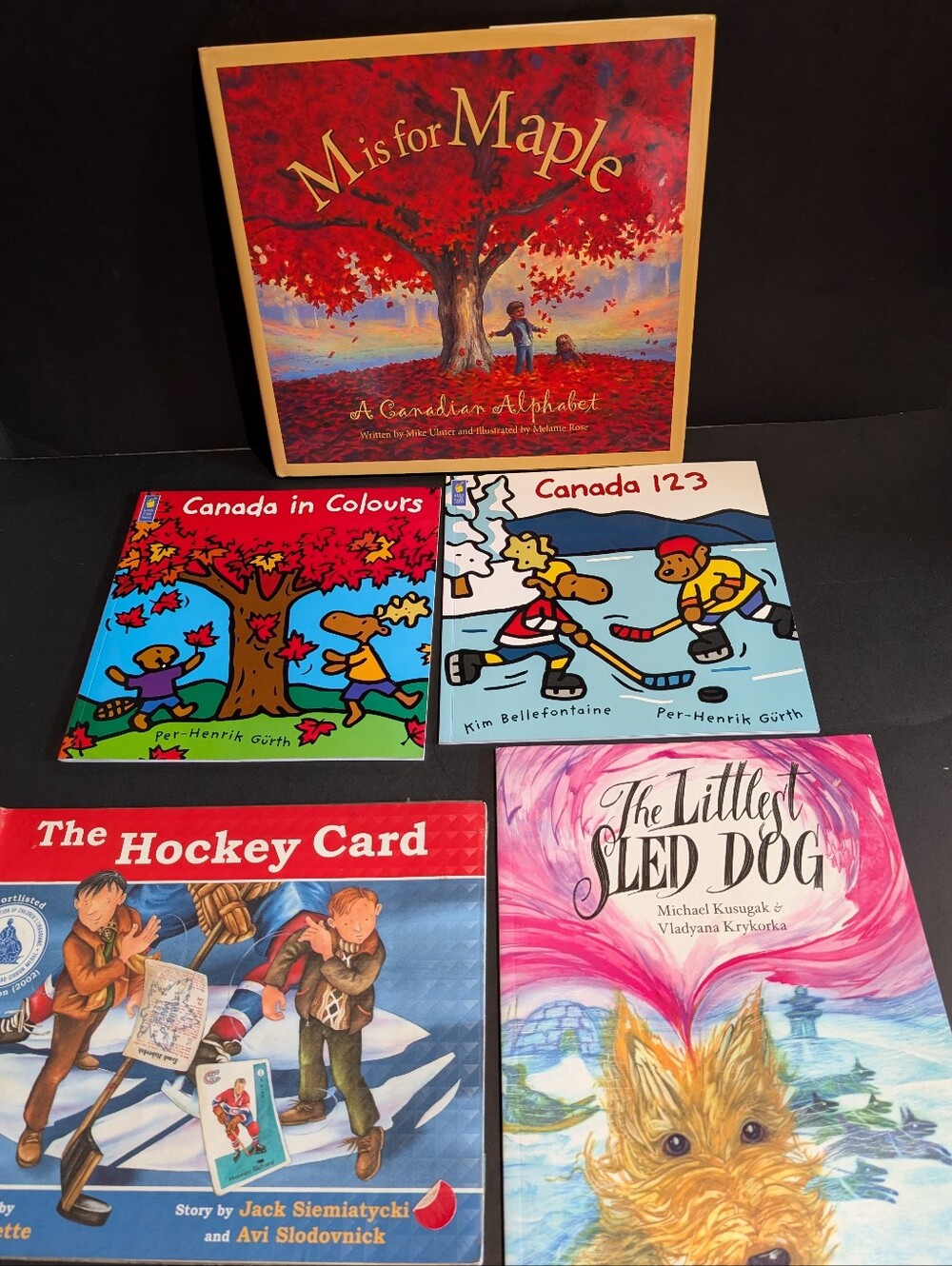 5 Canada Themed Childrens Books Colors Numbers Alphabet Hockey Arctic Homeschool